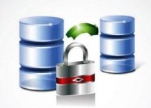 ProGym Seguridad